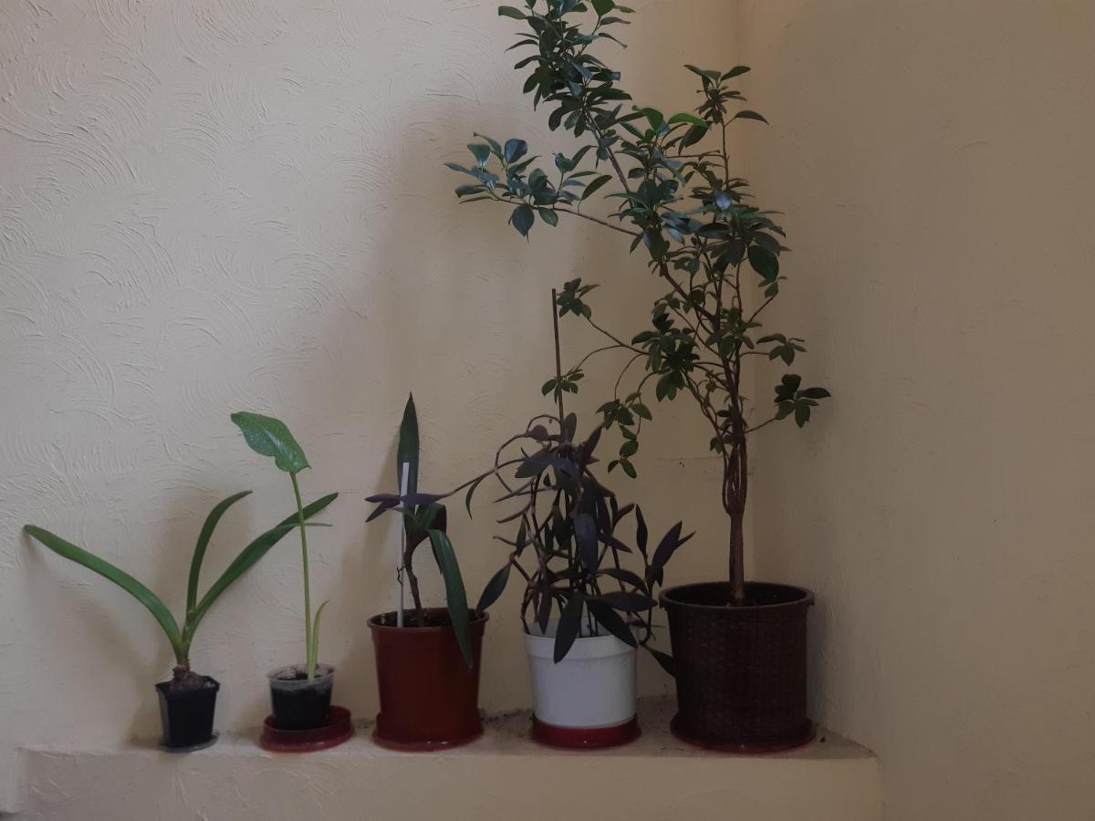 75 Katerynyns'Ka Street Apartment Одеса Екстериор снимка